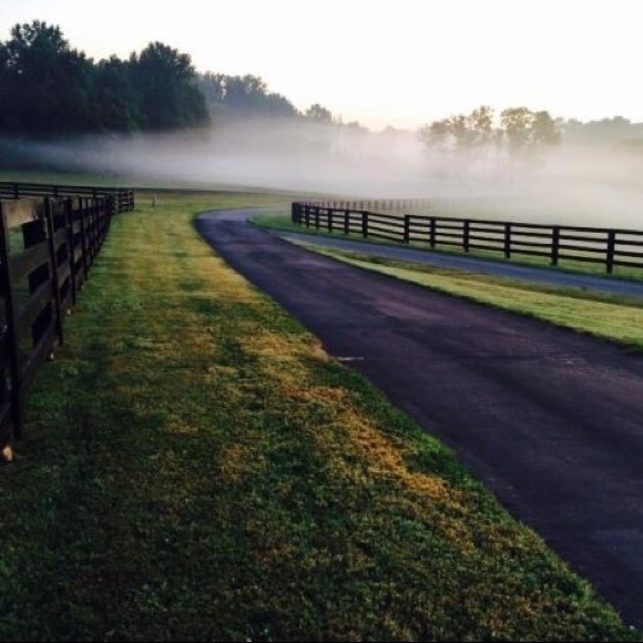 LIKE THIS + BOOKMARK MY CLOSET 🖤 - Picture 5 of 10